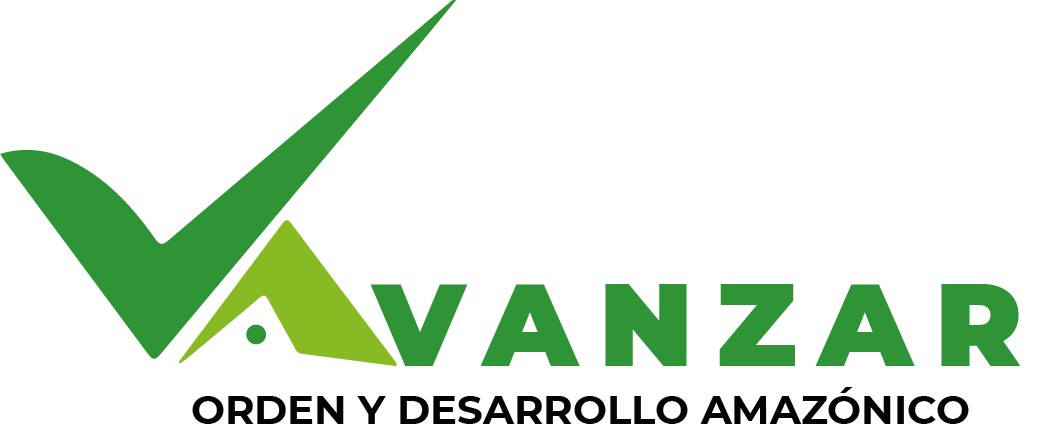 Logo partido Avanzar Orden y Desarrollo